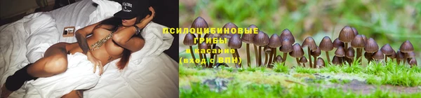 скорость mdpv Алексеевка