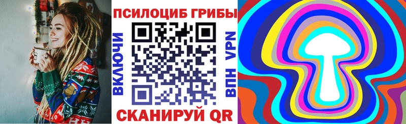 Псилоцибиновые грибы Psilocybe darknet как зайти Саянск blacksprut сайт